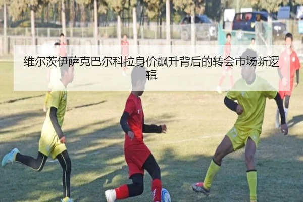 维尔茨伊萨克巴尔科拉身价飙升背后的转会市场新逻辑